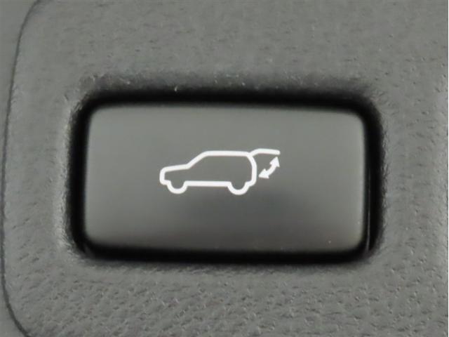 NX NX300h バージョンL メーカー装着メモリーナビ バックガイドモニター チルト&スライドムーンルーフ CD/DVD/ブルーレイ再生 クリアランスソナー 電動パーキングブレーキ パワーバックドア AC100Vコンセント(30枚目)