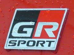 �ǣҥ������ꥨ��֥�ब���ݡ��ƥ������򴶤������Ƥ���ޤ��͡� 2