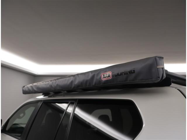 ランドクルーザープラド ＴＸ　Ｌパッケージ　リアカメラ　スマートキ　盗難防止　キーレスエントリー　ＥＴＣ装備　３列席　ＤＶＤ再生可　エアコン　ＬＥＤランプ　レザー　アルミホイール　パートタイム４ＷＤ　横滑り防止システム　フルＴＶ　メモリーナビ（24枚目）