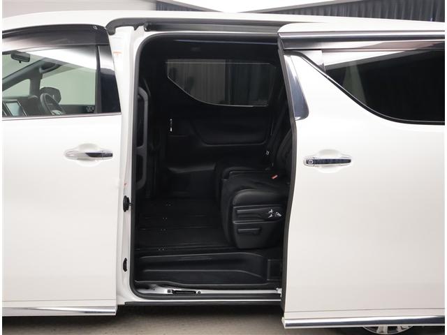 ヴェルファイア ゴールデンアイズ2(22枚目)