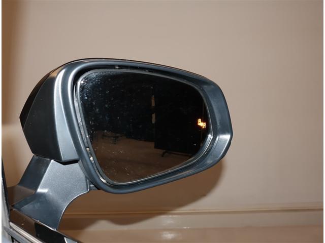 ヴェルファイア Ｚ　プレミア　記録簿付き　ＬＥＤ　本革　パワーシート　衝突軽減　ムーンルーフ　１００Ｖ電源　オートクルーズコントロール　バックモニター　フルセグ　ＥＴＣ　スマートキー　メモリーナビ　ナビＴＶ　ダブルエアコン（24枚目）