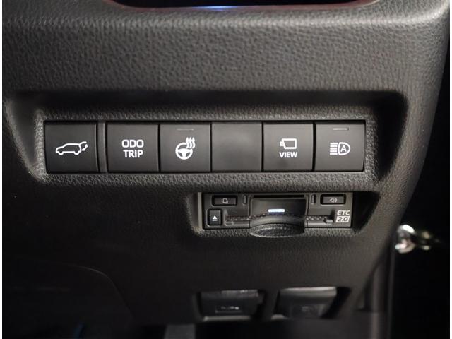 ＲＡＶ４ Ｇ　Ｂカメラ　ＴＶ　点検記録簿　パワーウインドウ　カーテンエアバック　運転席パワーシート　イモビライザー　地デジ　キーレス　ＥＴＣ付　ＬＥＤヘッドライ　クルコン　オートエアコン　横滑り防止装置　４ＷＤ車（15枚目）