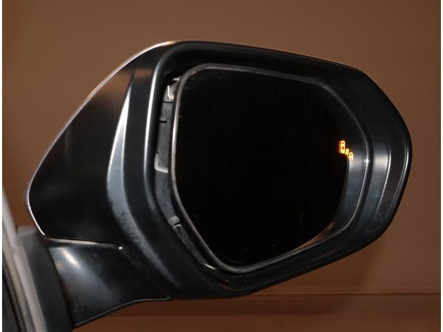 Ｃ－ＨＲ Ｇ　ＴＳＳ　ＤＶＤ再生可　定期点検記録簿　ＬＥＤヘッド　バックモニタ　イモビライザー　ナビ＆ＴＶ　ＥＴＣ付　キーフリーシステム　スマキー　横滑り防止機能　クルーズＣ　ドライブレコ－ダ－　エアバッグ　アルミ（16枚目）