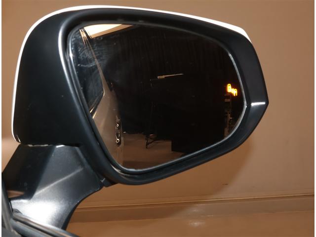 アルファード 2.5S Cパッケージ PWシート 両側PSドア ルーフ DVD再生可能 Wエアコン 地デジ ナビTV Bカメラ 記録簿有 ETC車載器 アルミホイール クルコン 横滑り防止 LEDヘッドライト セキュリティ フルフラット(24枚目)