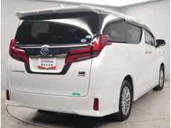 ����ե����ɥϥ��֥�å� �ӡ������ץ�����ɡ��ץ������󡡥����쥹�������ɻ����� 0501310A20260211T001 3