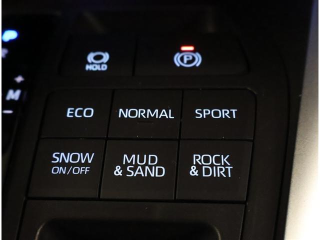 ＲＡＶ４ Ｇ　ナビ・ＴＶ　パノラマムーンルーフ　Ｂカメラ　点検記録簿　パワーウインドウ　カーテンエアバック　運転席パワーシート　イモビライザー　地デジ　キーレス　ＥＴＣ付　ＬＥＤヘッドライ　クルコン　オートエアコン（15枚目）