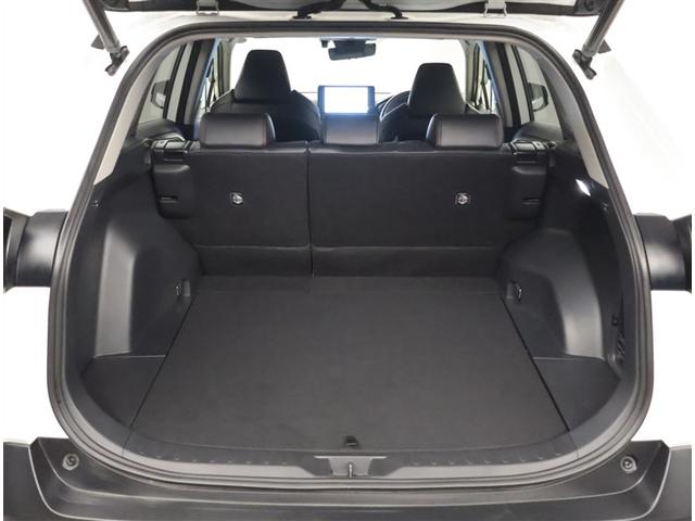 ＲＡＶ４ アドベンチャー　オフロードパッケージＩＩ　ＡＣ１００　寒冷地　横滑り防止装置　地デジ　衝突被害軽減ブレーキ　バックモニター　ドライブレコーダー　メモリーナビ　アルミホイール　オートクルーズコントロール　ＬＥＤヘッドランプ　フルタイム４ＷＤ（20枚目）