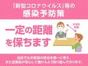 ＧＸ　６６０　ＧＸ　ハイルーフ　５ＡＧＳ車　ワンオーナー　禁煙車　衝突被害軽減ブレーキ　横滑り防止装置　リアヒーター　ＥＴＣ　電動格納ドアミラー　マニュアルエアコン　プラスチックバイザー　プライバシーガラス(37枚目)