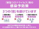 ＧＸ　６６０　ＧＸ　ハイルーフ　５ＡＧＳ車　ワンオーナー　禁煙車　衝突被害軽減ブレーキ　横滑り防止装置　リアヒーター　ＥＴＣ　電動格納ドアミラー　マニュアルエアコン　プラスチックバイザー　プライバシーガラス(39枚目)