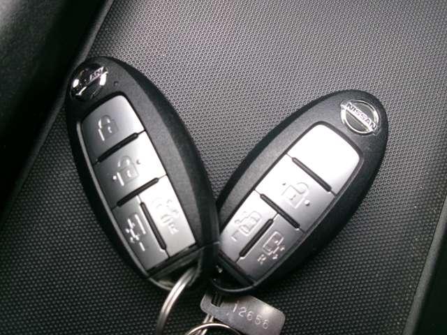 セレナ 1.2 e-POWER ハイウェイスター V ナビ AVM LED プロパイロット(17枚目)