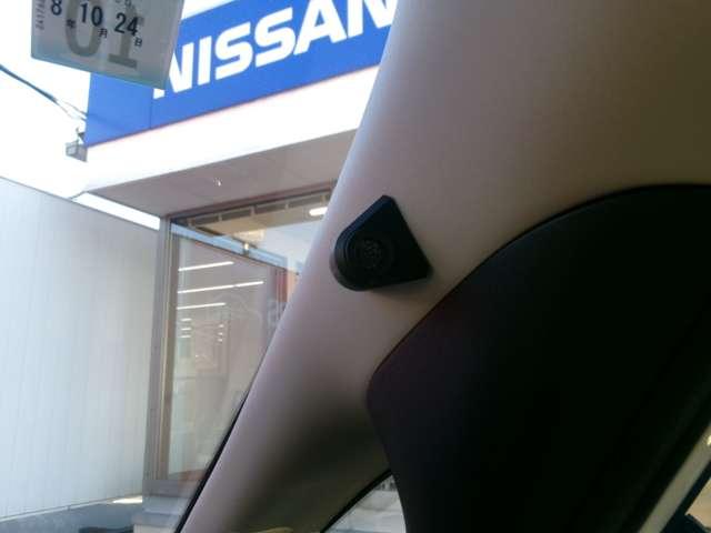 セレナ ２．０　ハイウェイスター　チェアキャブ　リフタータイプ　プロパイロット　後席モニター（17枚目）