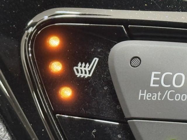 C-HR G ハーフ革 TSS ワンオナ アイドルストップ DVD再生可 定期点検記録簿 LEDヘッド バックモニタ イモビライザー ナビ&TV ETC付 キーフリーシステム スマキー 横滑り防止機能 クルーズC(15枚目)