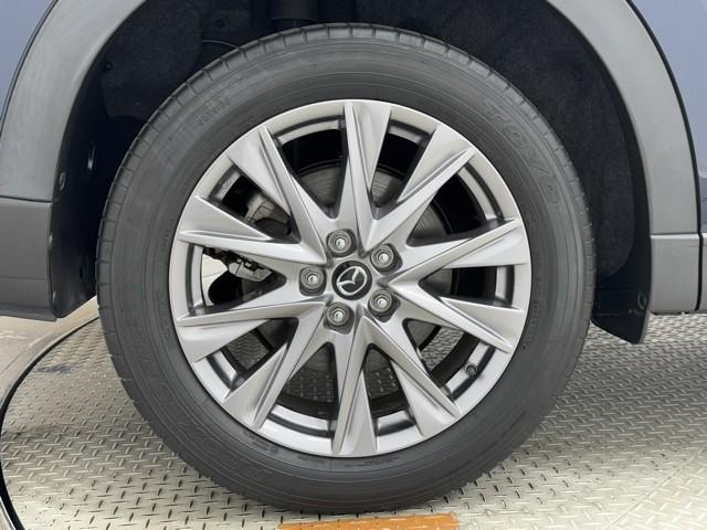 ＣＸ－８ ＸＤプロアクティブ　リアエアコン　アドバンストキー　横滑り防止機能　クルーズコントロール　地デジ　アイスト　ＥＴＣ車載器　ＤＶＤ再生可　エアコン　４ＷＤ　ドライブレコーダー　パワーシート　三列シート　ナビ＆ＴＶ　キーレス（19枚目）