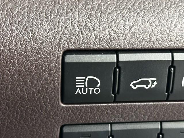 �֗��ȃI�[�g�}�`�b�N�n�C�r�[���ł��@�Ό��Ԃ����m�������I�Ƀn�C�r�[���ƃ��[�r�[����؂�ւ��Ă���܂�