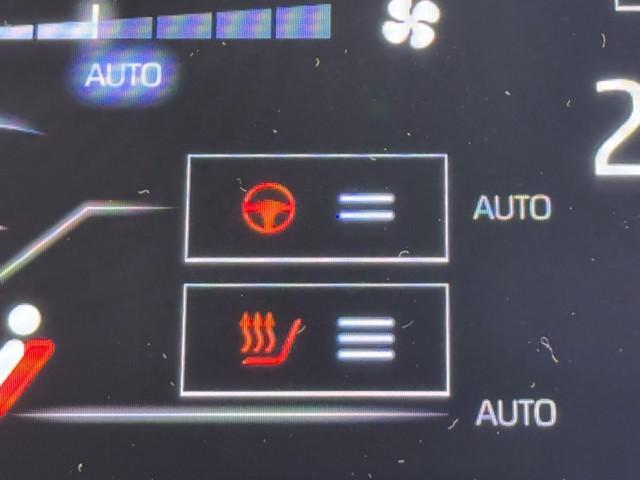 �V�[�g�q�[�^�[�t���Ȃ̂ő̒��ɍ��킹�čׂ����ԓ����𒲐��ł����Ⴂ�܂��B�V���A�̒��ɍ��E���ꂸ�ɉ��K�ɂP�����X�^�[�g�o���܂��ˁB