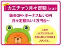 ※購入にかかわる税金(消費税は除く)・保険料・自動車リサイクル料金・その他登録に伴う費用は別途申し受けます。