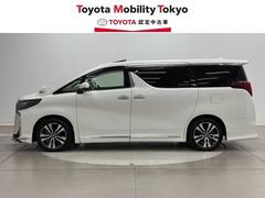 ҤǤϡΥեӥ³Ƥ󶡤Ǥա̡롦פΤͤؤ˸ꤵƤƤޤ 3