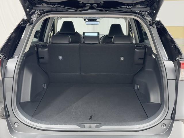 RAV4 アドベンチャー オフロードパッケージII 横滑り防止装置 地デジ 衝突被害軽減ブレーキ TV バックモニター ドライブレコーダー ワンオーナー アルミホイール オートクルーズコントロール LEDヘッドランプ フルタイム4WD 記録簿 キーレス(20枚目)