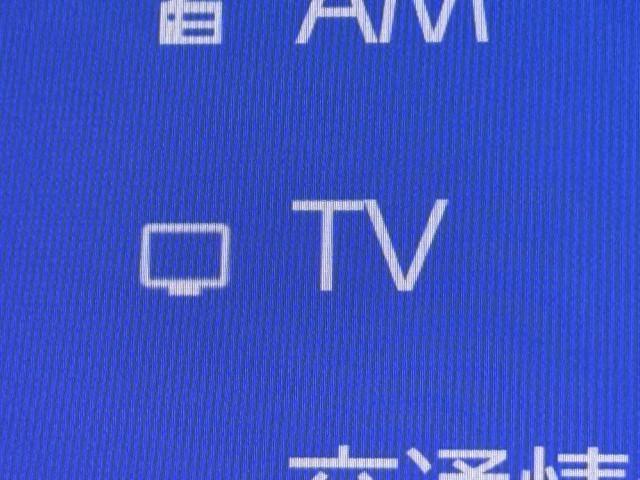 アルファードハイブリッド エグゼクティブラウンジ　本革　フルセグＴＶ　ドライブレコーダー　アルミホイール　パノラミックルーフ　１００Ｖ電源　ＬＥＤヘッドライト　記録簿　４ＷＤ　スマートキー　ＤＶＤプレーヤー　パワーシート　ＥＴＣ　エアコン　３列シート（10枚目）