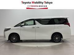 ҤǤϡΥեӥ³Ƥ󶡤Ǥա̡롦פΤͤؤ˸ꤵƤƤޤ 3