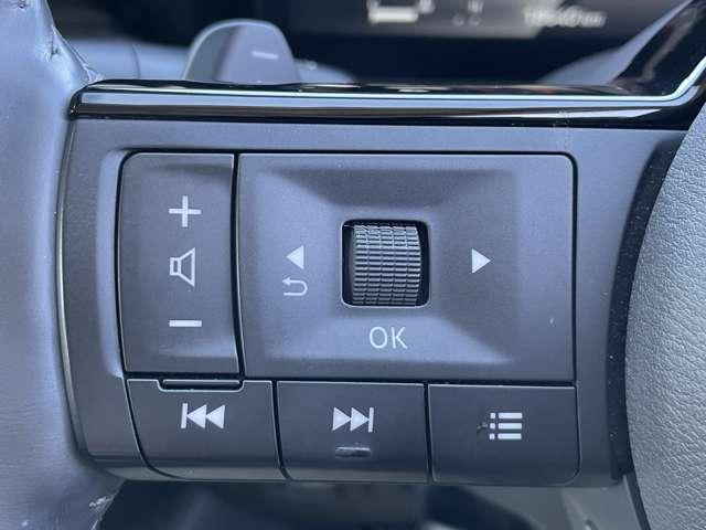 セレナ 2.0 ハイウェイスターV ステップタイプ 後席モニター(13枚目)