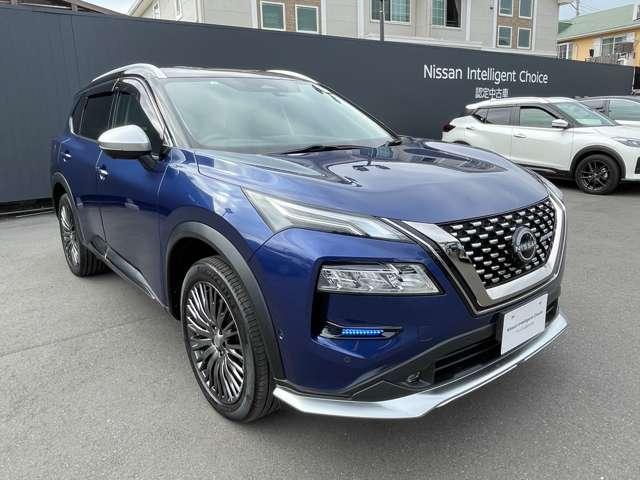 エクストレイル 1.5 AUTECH アドバンスト パッケージ e-4ORCE 4WD 本革シート プロパイロット(19枚目)