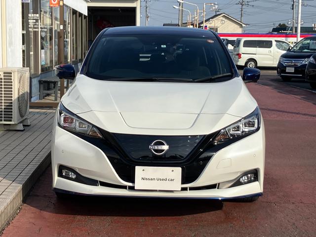 リーフ e+ X 当社下取ワンオーナー 衝突被害軽減ブレーキ 踏み間違い衝突防止 メモリーナビ アラウンドビュー ドライブレコーダー ETC2.0 LEDヘッドライト スマートルームミラー シート&ステアリングヒーター(21枚目)