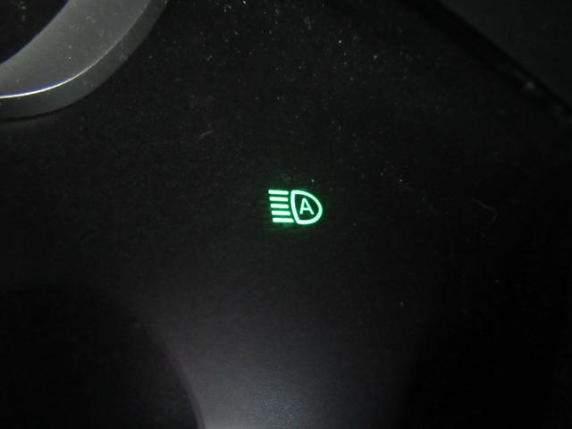 セレナ ハイウェイスター　ＶセレクションＩＩ　バックモニタ　全周囲モニタ　アイスト　寒冷地　Ｐアシスト　インテリキー　ＬＥＤライト　ＥＴＣ車載器　サイドエアバッグ　記録簿　ドライブレコーダー　メモリ－ナビ　アルミ　ＴＶナビ　エアバック　ＡＢＳ（31枚目）