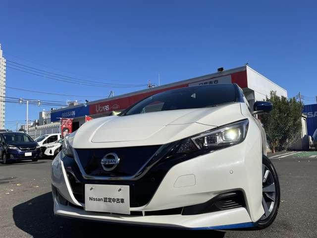 リーフ e+ X 純正(メーカー)メモリーナビ・フルセグTV AVM ワンオ-ナ-車 寒冷地 LEDライト アダプティブクルーズコントロール ドラレコ ETC インテリキー バックカメラ 点検記録簿 メモリーナビ オートエアコン サイドエアバック Wエアバック AW(19枚目)