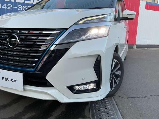 �k�d�c���C�g�A�t�H�O�����v�Ŗ�Ԃ����E�ǍD�I�I