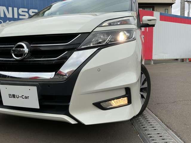 �k�d�c���C�g�A�t�H�O�����v�Ŗ�Ԃ����E�ǍD�I�I