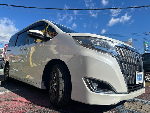 エスクァイア Gi 禁煙/トヨタセーフティセンス/純正SDナビ/フルセグ/DVD/Bluetooth/バックカメラ/ETC/スマートキー/電動スライド/LED/クルコン/ドラレコ/本革/シートヒーター/ロールサンシェード(49枚目)