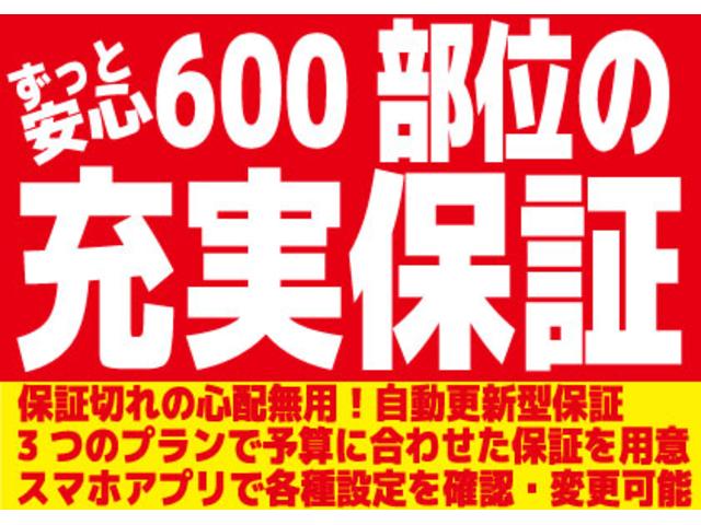 Ｌｉ　衝突軽減ブレーキ　本革シート　パドルシフト　クルコン　ＬＥＤヘッドライト　フォグ　純正アルミ　カロッツェリアナビ　地デジＴＶ　Ｂｌｕｅｔｏｏｔｈ　バックカメラ　ＥＴＣ２．０　カーテンエアバッグ　除菌(29枚目)