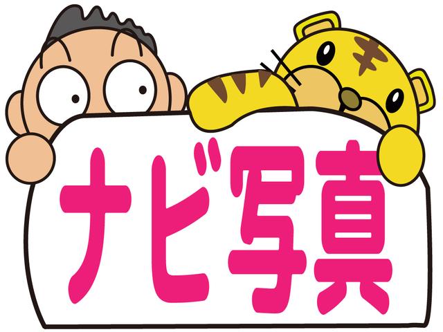 フリード Ｇ　ジャストセレクション　電動スライドドア　キセノンヘッドライト　オートライト　スマートキー　ＥＴＣ　純正ＨＤＤインターナビ　ＴＶ　ミュージックサーバー　ＤＶＤ再生　ＶＩＤＥＯ　バックカメラ　除菌（38枚目）