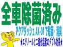 ファンベースＧ　禁煙車　衝突軽減ブレーキ　両側電動スライドドア　前後センサー　パノラマモニター　後席フリップダウンモニター　純正ナビ　フルセグＴＶ　Ｂｌｕｅｔｏｏｔｈ　ＤＶＤ再生　ＥＴＣ　前後ドラレコ　室内カーテン(32枚目)