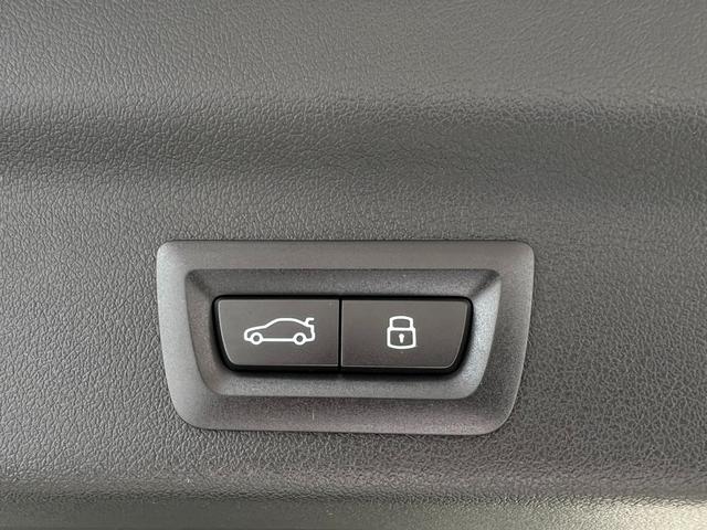 ｉＸ１ ｅＤｒｉｖｅ　２０　Ｍスポーツ　ブラックシート・１８ＡＷ・アクティブクルーズコントロール・ＡｐｐｌｅＣａｒＰｌａｙ・ヘッドアップディスプレイ・アンビエントライト・前席シートヒーター・電動トランク・ＬＥＤライト・全周囲カメラ（45枚目）