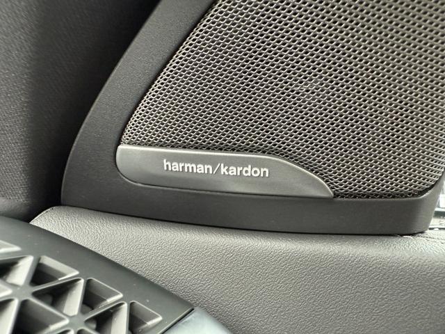 X6 xDrive 35d Mスポーツ 令和10年2月保証付 BMW Individual エクステンド・レザー・メリノ コーヒー・ブラウン オプション22AW カーボントリム harman/kardon 前席シートベンチレーション(39枚目)