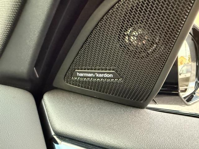 X3 M50 xDrive 2028年5月まで保証付 サンルーフ 20AW ヴェガンザカームベージュ シートヒーター/ベンチレーション ステアリングヒーター HarmanKardon 前後純正ドラレコ レッドキャリパー(26枚目)