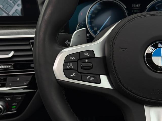 5シリーズ 530i Mスポーツ サンルーフ ダコタレザーブラックシート 19インチAW アクティブクルーズコントロール 全周囲カメラ 地デジTVナビ 前後シートヒータ 電動トランク LEDヘッドライト アンビエント 全国1年保証付(20枚目)