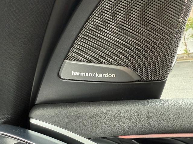 X3 xDrive 30e Mスポーツ 全国2年保証付 コニャックヴァーネスカ・レザーシート 19AW 電動パノラマサンルーフ セレクトパッケージ ハイラインパッケージ harman/kardon ヘッドアップディスプレイMスポーツブレーキ(28枚目)