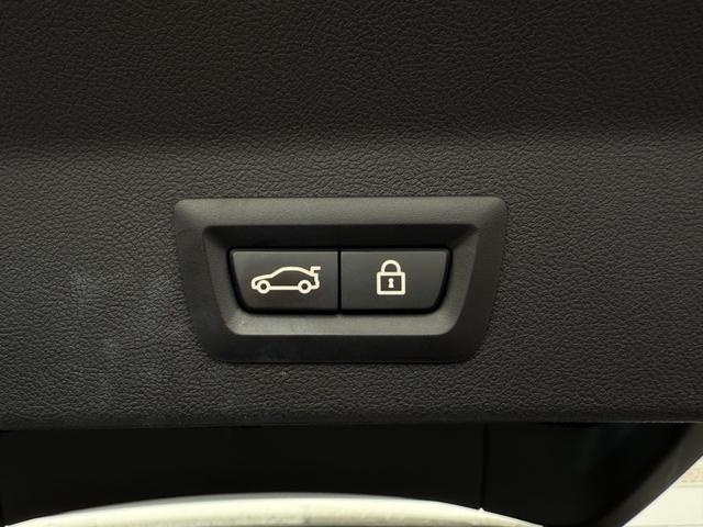 X3 xDrive 30e Mスポーツ 全国2年保証付 コニャックヴァーネスカ・レザーシート 19AW 電動パノラマサンルーフ セレクトパッケージ ハイラインパッケージ harman/kardon ヘッドアップディスプレイMスポーツブレーキ(50枚目)