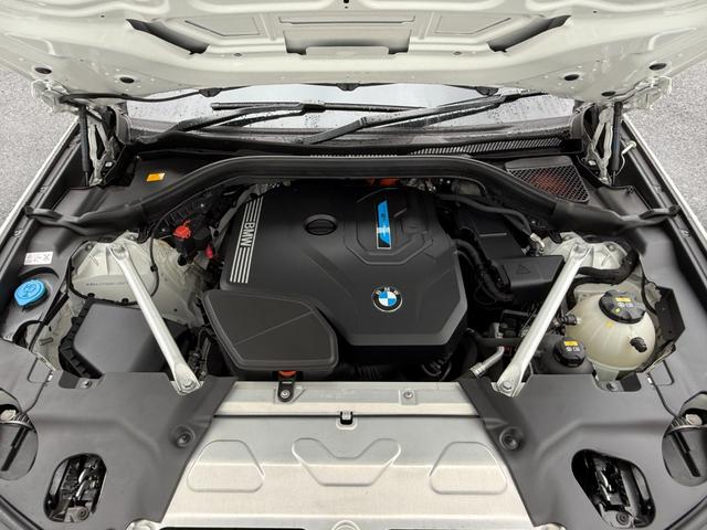 X3 xDrive 30e Mスポーツ 全国2年保証付 コニャックヴァーネスカ・レザーシート 19AW 電動パノラマサンルーフ セレクトパッケージ ハイラインパッケージ harman/kardon ヘッドアップディスプレイMスポーツブレーキ(53枚目)