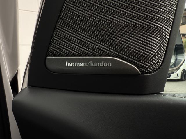 Ｘ７ ｘＤｒｉｖｅ　３５ｄ　Ｍスポーツ　全国２年保証付　タイヤ４本交換　ブラックレザー　パノラマサンルーフ　リアエンタテイメント　ウェルネスＰＫＧ　保冷保温カップホルダー　２１インチＡＷ　６人乗り　ＨａｒｍａｎＫａｒｄｏｎ音響（37枚目）