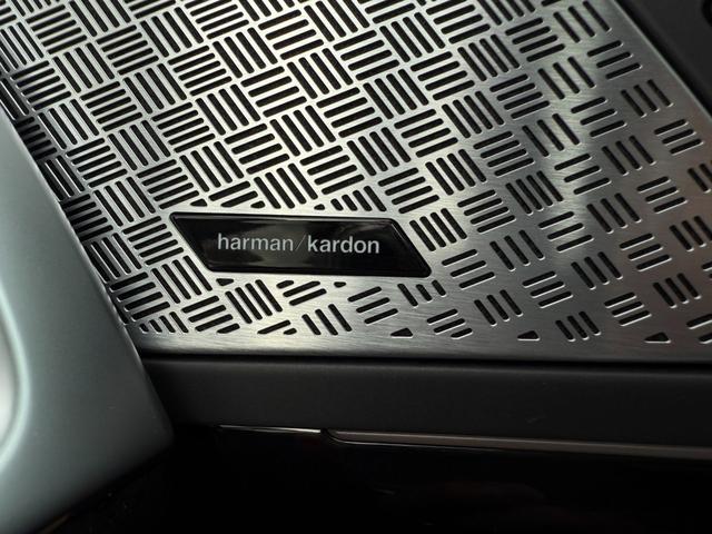 X1 xDrive 20i xライン ハイラインパッケージ 全国2年保証付 ヴァーネスカ・レザーブラック 18AW ハイラインパッケージ harman/kardon 全周囲カメラ AppleCarPlay ヘッドアップディスプレイ アンビエントライト ACC(23枚目)