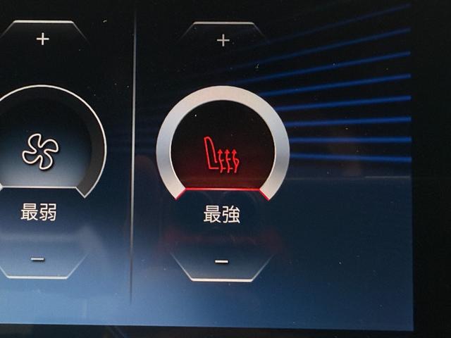 X1 xDrive 20i xライン ハイラインパッケージ 全国2年保証付 ヴァーネスカ・レザーブラック 18AW ハイラインパッケージ harman/kardon 全周囲カメラ AppleCarPlay ヘッドアップディスプレイ アンビエントライト ACC(38枚目)