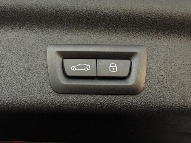 X1 xDrive 20i xライン ハイラインパッケージ 全国2年保証付 ヴァーネスカ・レザーブラック 18AW ハイラインパッケージ harman/kardon 全周囲カメラ AppleCarPlay ヘッドアップディスプレイ アンビエントライト ACC(49枚目)