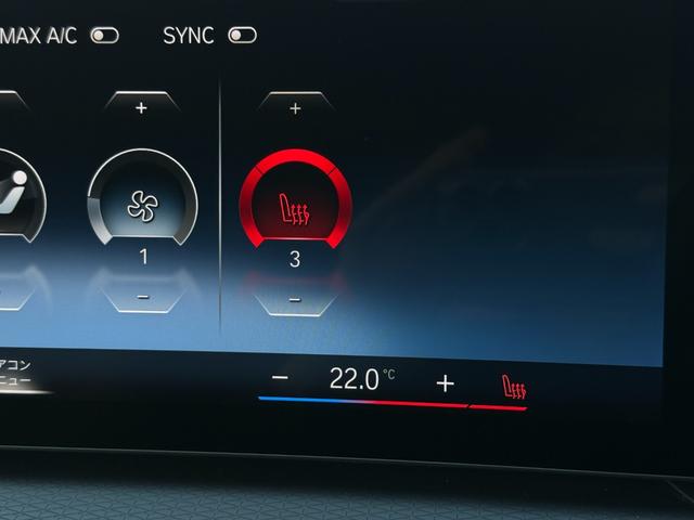 4シリーズ 420d xDriveグランクーペ Mスポーツ 全国2年保証付 ヴァーネスカレザーコニャック 18AW MスポーツシートPKG 全周囲カメラ AppleCarPlay ヘッドアップディスプレイ アンビエントライト アクティブクルーズコントロール(36枚目)