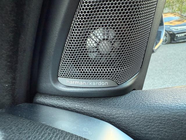 X5 xDrive 35d Mスポーツ LIMITED BLACK 国内限定110台 ダコタレザーブラック パノラマサンルーフ harman/kardon フルセグ 電動トランク ACC 可変サス 全席シートヒーターHDDナビ LEDライト(27枚目)