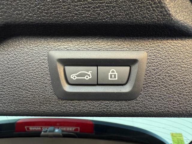 X5 xDrive 35d Mスポーツ LIMITED BLACK 国内限定110台 ダコタレザーブラック パノラマサンルーフ harman/kardon フルセグ 電動トランク ACC 可変サス 全席シートヒーターHDDナビ LEDライト(49枚目)