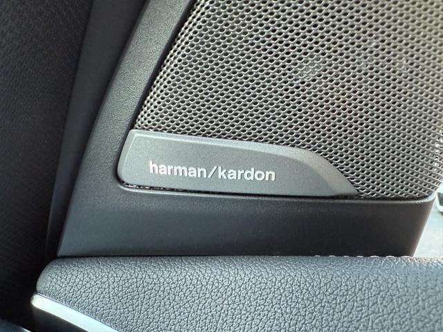 Ｘ３ Ｍ コンペティション　全国２年保証付　タルトゥーフォレザー　２１ＡＷ　可変サス　可変バルブ　Ｍｓｐブレーキ　ＡＣＣ　ハンズオフアシスト　ＨＵＤ　全周囲カメラ　ハーマン音響　シートエアコン　地デジＴＶナビ　ＣａｒＰｌａｙ（24枚目）